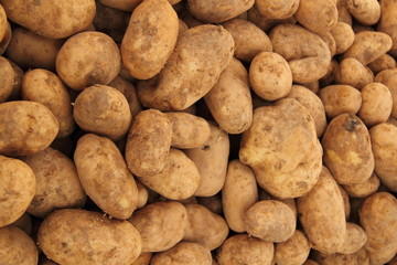 Kartoffeln