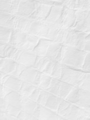 Paper texture. Hi res texture.