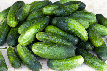 A fresh green cucumber isolated on a white background