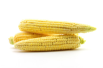 ear of corn