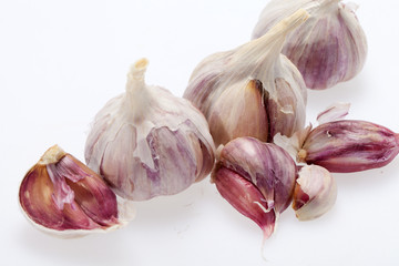 fresh garlic  on white background