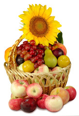 fruit basket