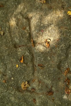 graffito preistorico