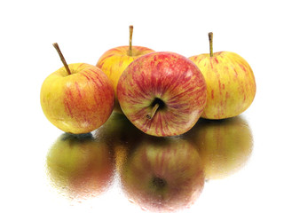 organic apple