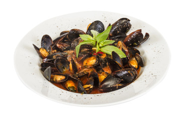 close up on mussels on white background