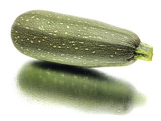 marrow