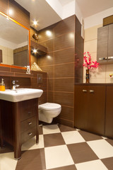 Modern brown bathroom interior