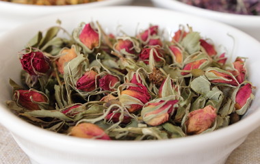 Fleurs sèches de l'églantier