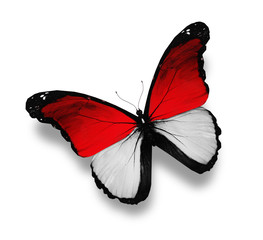 Indonesian flag butterfly, isolated on white