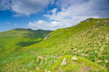 Fototapeta na wymiar Zielona łąka w górach.