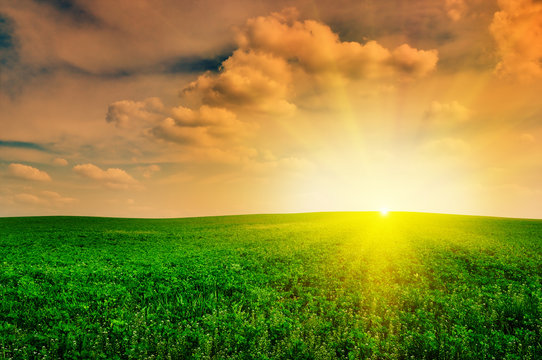 Fototapeta Beautiful sunset