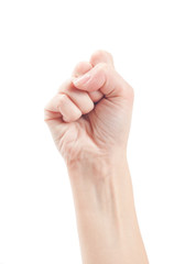 Fist. Gesture of the hand on white background.