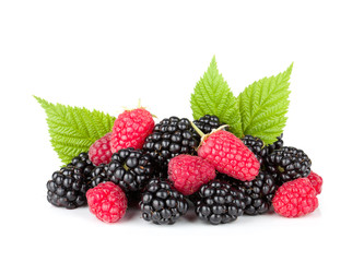 Blackberry and raspberry © evgeeenius
