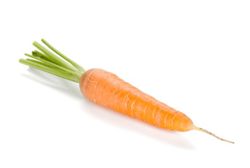 Fresh ripe carrot