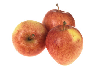 Red Sonya Apples