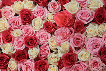 White and pink roses in arrangement