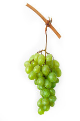 a bunch of white  grapes _ Un grappolo d'uva bianca