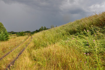 Country road in a cloudy day