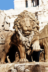 Cibeles Fountain Stone Lion Detail, Madrid