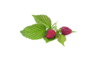 Raspberry