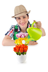 Girl watering plants on white