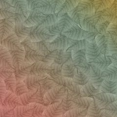 Color Leaf Background and texture