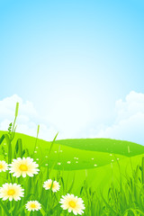Green Nature Landscape