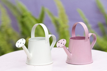Small watering can