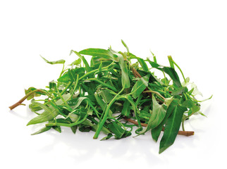 Water spinach isolated on white background