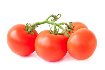 branch of tomato