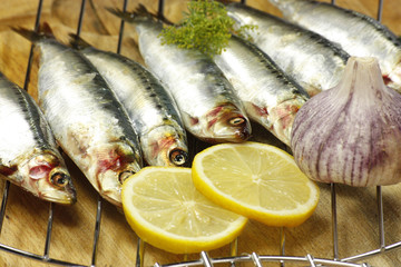 sardines