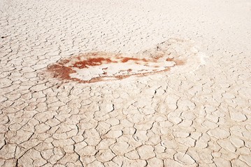 Trockene Wasserpfütze im Vlei
