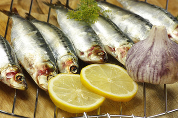 sardines
