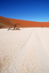 Fahrspur durchs Hidden Vlei