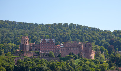 Fototapeta na wymiar Zamek w Heidelbergu w lecie