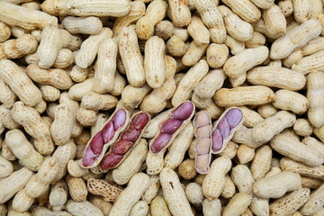 Steam peanut  and peeled peanut in Thailand market