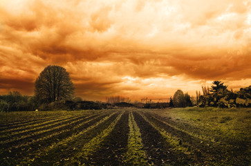 Fototapety na wymiar - Fototapeta24.pl