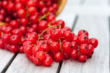 Close-Up of red Currants/Close-Up von roten Johannisbeeren