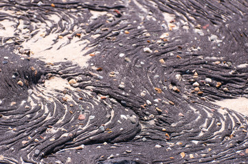 Solidified asphalt on a Dutch dike