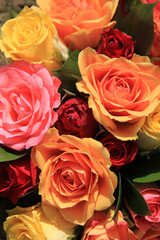 Mixed roses in yellow, red and orange