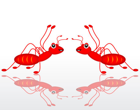 dual red ant