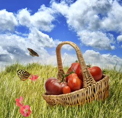 Fototapety na wymiar - Fototapeta24.pl