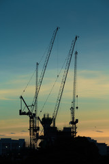 Silhouettes of construction cranes