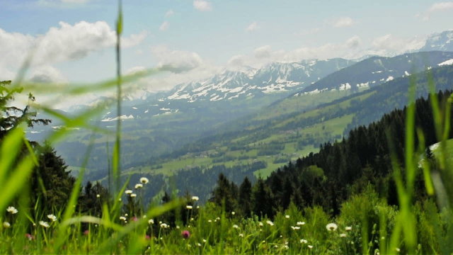 Wiese im Wind - Blick auf schneebedeckte Berge von Pf&auml;nder / &Ouml;.
