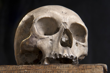 halloween old skull