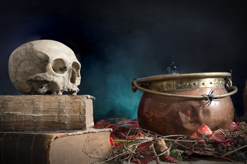 old skull on old book, cauldron with spider