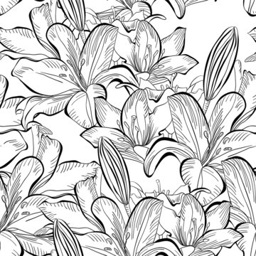 Seamless pattern with white lily flowers