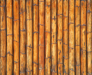 Cane texture