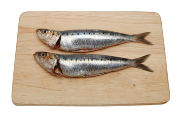 Two sardines