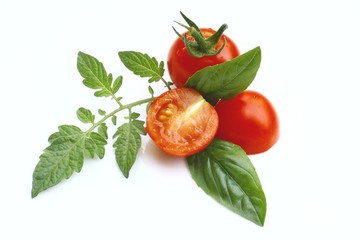 Cocktailtomaten & Basilikum